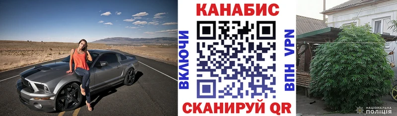 Купить где  Боготол  Каннабис индика 